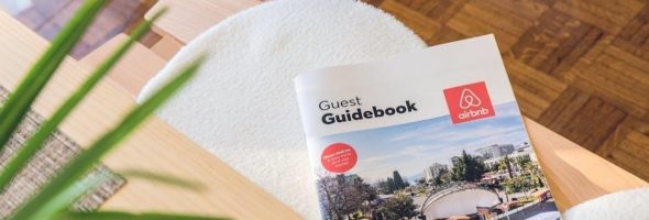 pro guide lithium