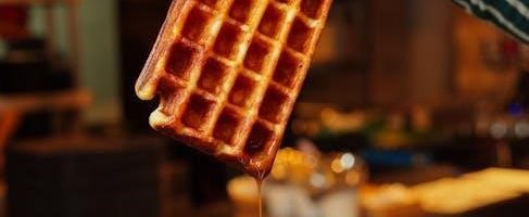 cuisinart waffle iron instructions