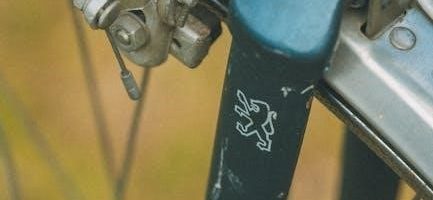 cleveland wheels and brakes manual