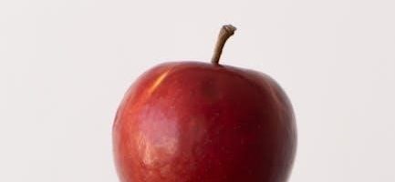 bible diet food list pdf
