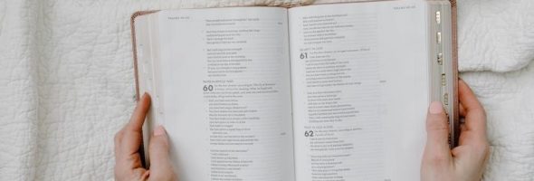 bible study guide kjv