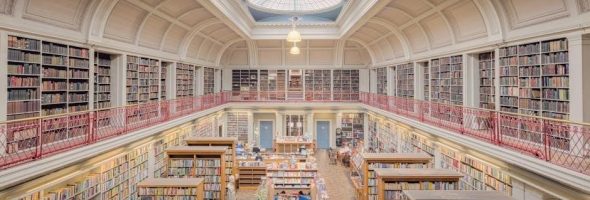 order of the phoenix book pdf