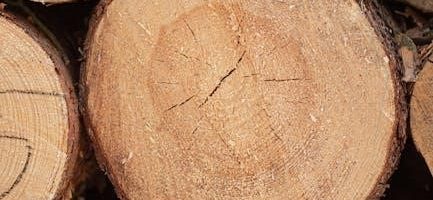 section 8 renewal guide