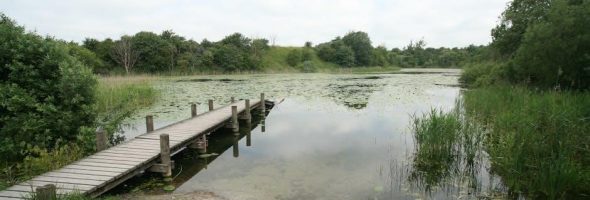 the immortal life henrietta lacks pdf